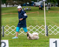 20250626-DSC03063