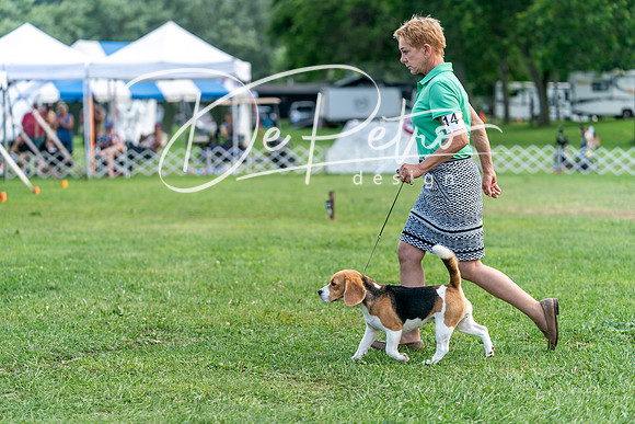 20240630-DSC05428