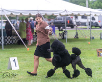 20250627-DSC06457
