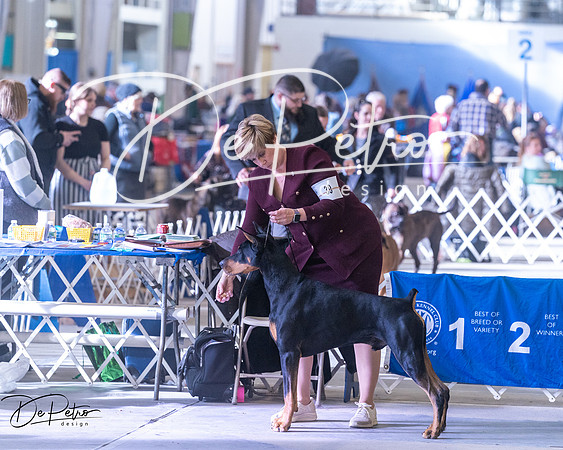 20250302-DSC07221