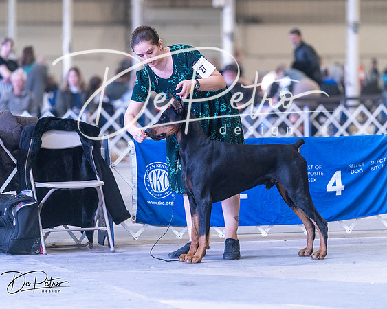 20250302-DSC06952