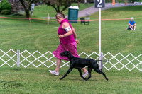 20250628-DSC07776
