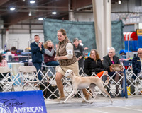 20250301-DSC04594