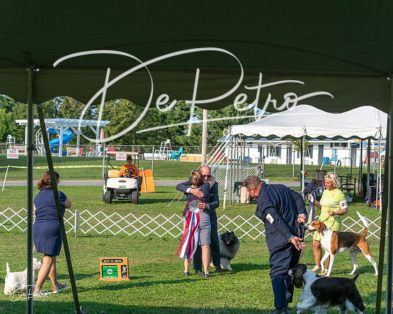 20240913-DSC00524