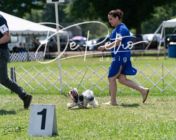 20240630-DSC01435