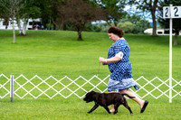 20190630-DSC06466