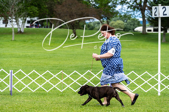 20190630-DSC06466
