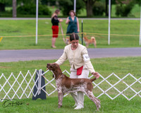 20250628-DSC07303