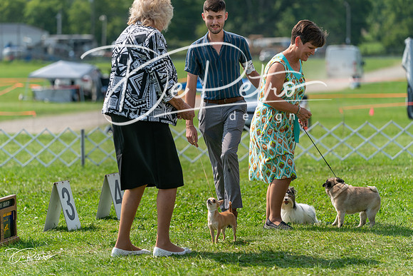 20240816-DSC00482