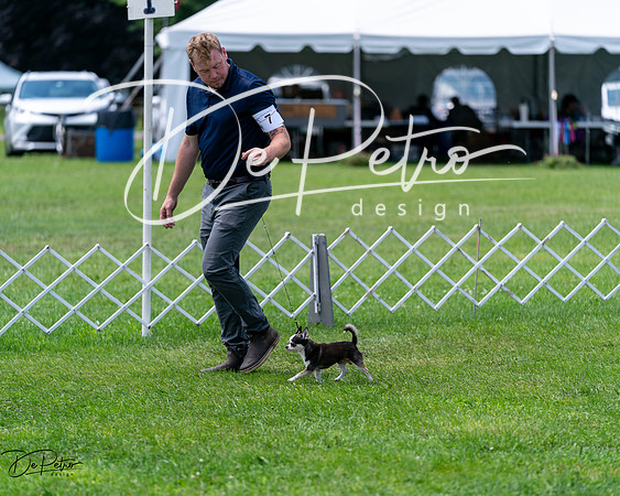20240630-DSC01596