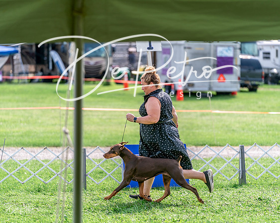 20240815-DSC07308