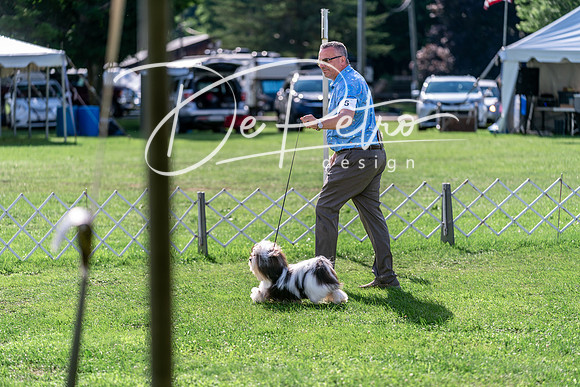 20240630-DSC05153