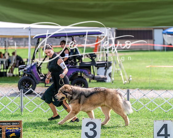 20240815-DSC07405