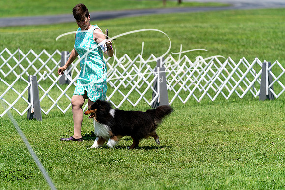 20240630-DSC01356