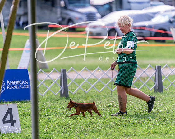 20240815-DSC06490