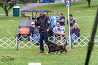 20250627-DSC06267