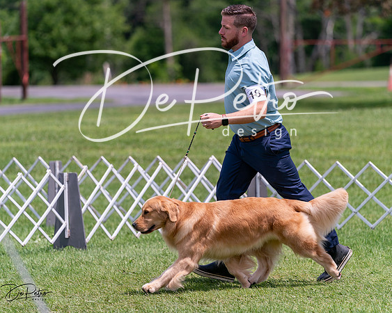 20240630-DSC00449
