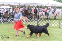 20250628-DSC07601