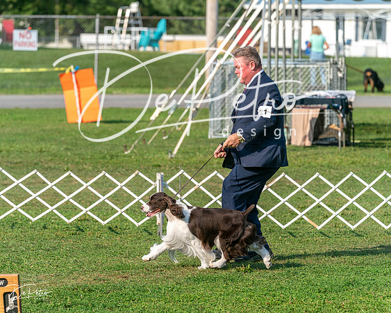 20240913-DSC00314