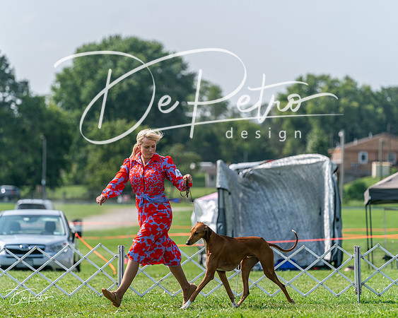 20240816-DSC00615