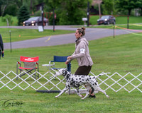 20250627-DSC06347
