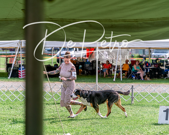 20240815-DSC07660