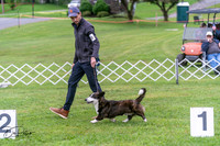 20250627-DSC06261
