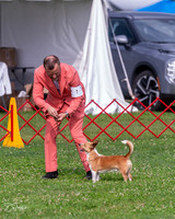 20250621-DSC09376