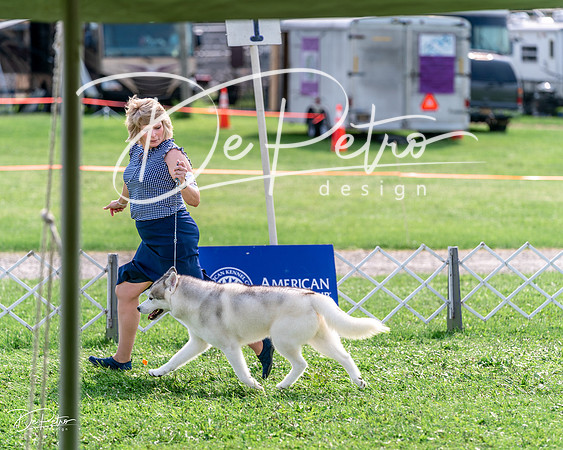 20240815-DSC07545