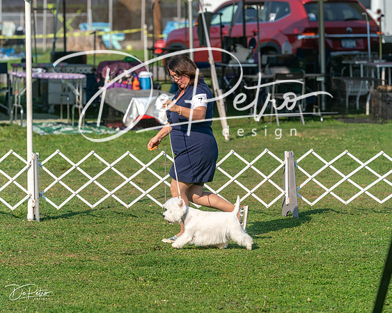 20240913-DSC00386