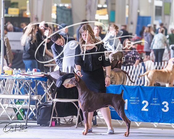 20250302-DSC07240