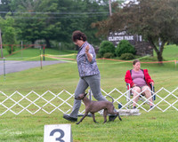 20250626-DSC03533
