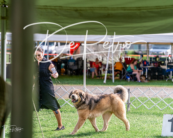 20240815-DSC07814
