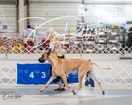 20250301-DSC03883