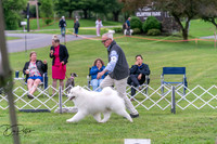 20250627-DSC05655