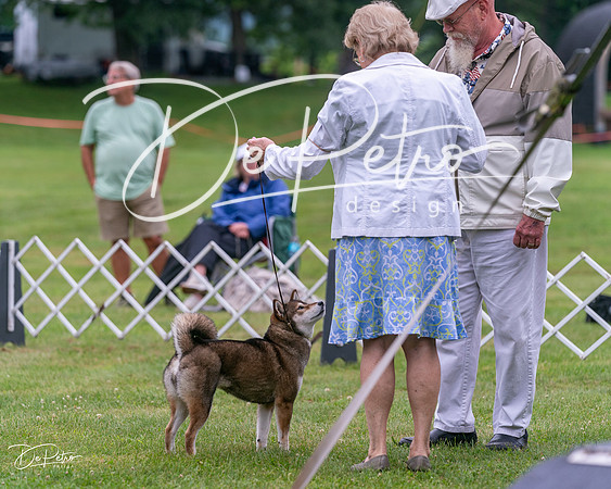 20250626-DSC03759