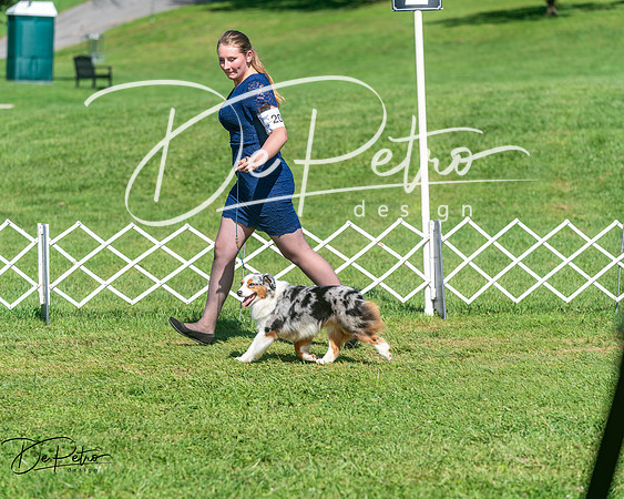 20250629-DSC01182