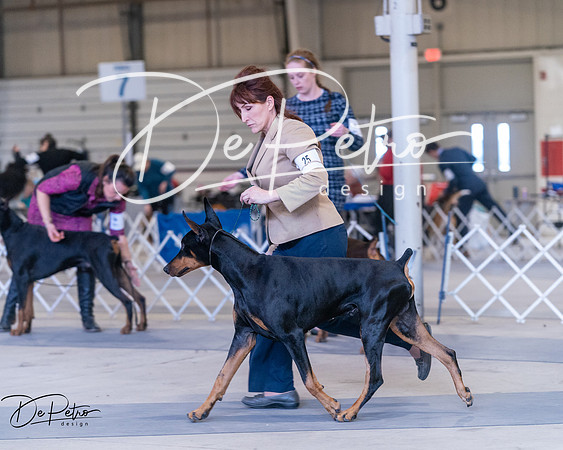 20250302-DSC06933