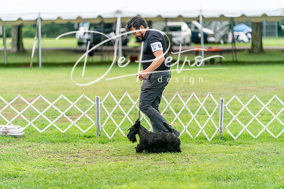 20240630-DSC05618