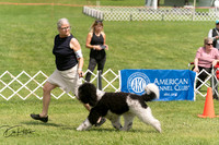 20250628-DSC07837