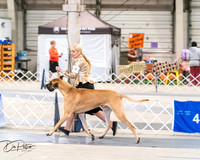 20250301-DSC03891