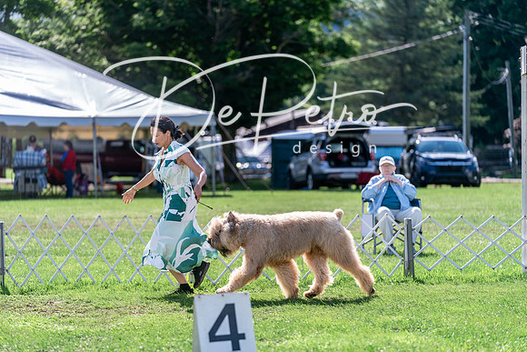 20240630-DSC04863