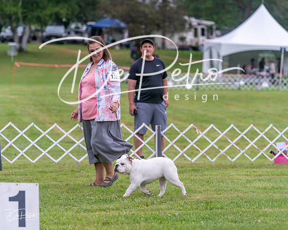 20250626-DSC03792
