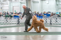 20250315-DSC08210