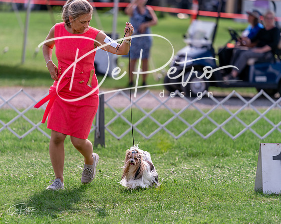 20240815-DSC06691