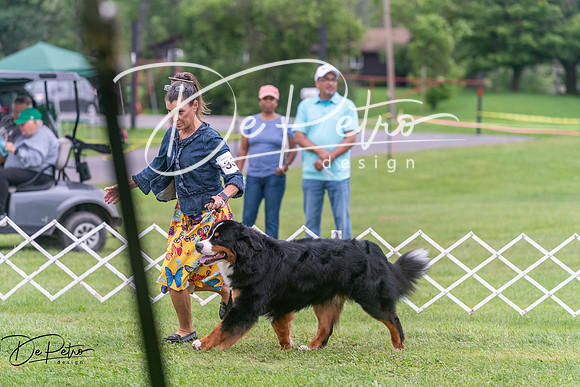 20250628-DSC07493