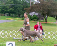 20250626-DSC03892