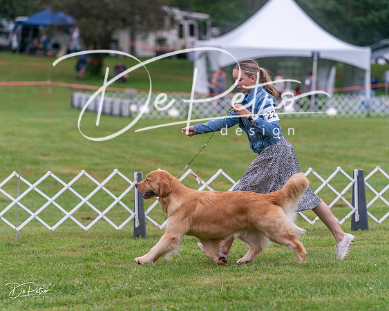 20250626-DSC03996