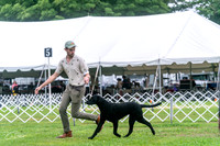 20250626-DSC02141