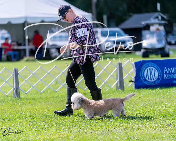20240630-DSC03443